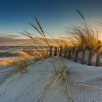 5 REASONS YOU SHOULD VISIT ORANGE BEACH DURING THE WINTER