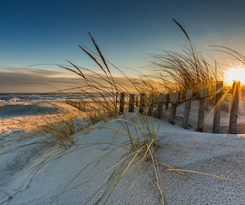 5 REASONS YOU SHOULD VISIT ORANGE BEACH DURING THE WINTER .