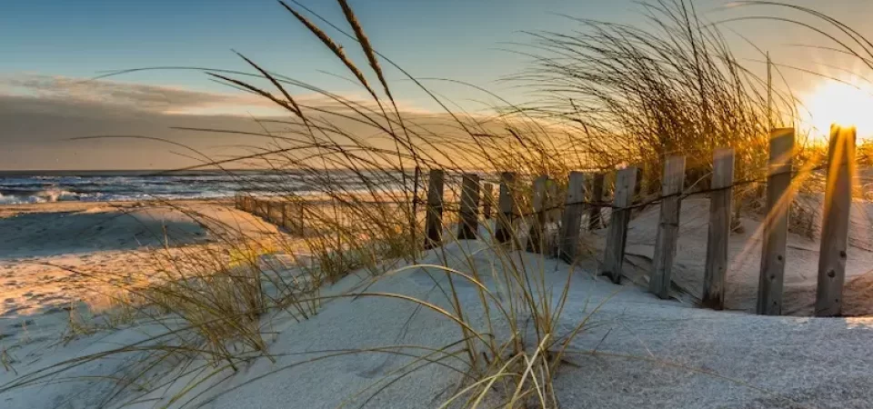 5 REASONS YOU SHOULD VISIT ORANGE BEACH DURING THE WINTER .